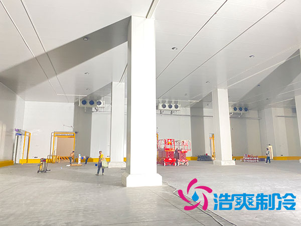 中温香蕉视频官网工程预算多少钱一平方？中低温香蕉视频官网温度要求-91香蕉视频IOS下载制冷