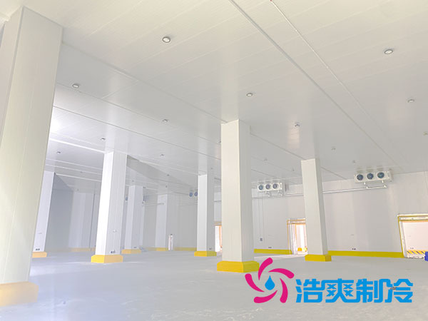 浙江肉类速冻库建造大概多少钱？-91香蕉视频IOS下载制冷