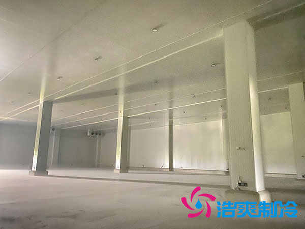 太仓中型香蕉视频官网预算造价多少钱？-91香蕉视频IOS下载制冷