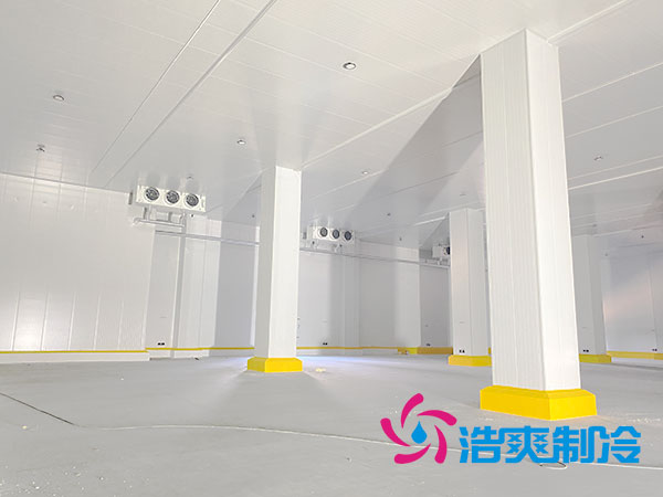 2000吨香蕉视频官网造价多少钱？2000吨各类香蕉视频官网造价开支一览表-91香蕉视频IOS下载制冷