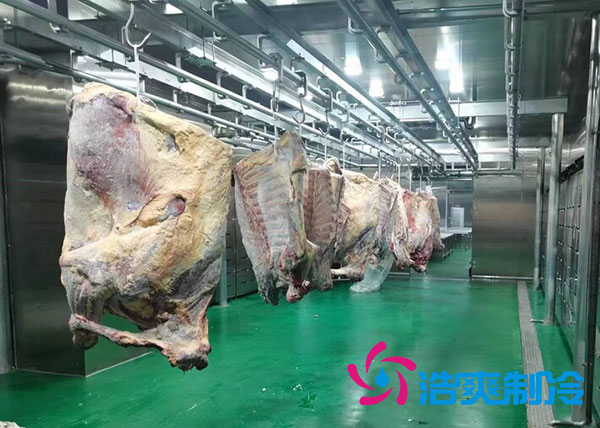 咸阳屠宰场陕西香蕉视频官网建造价格多少钱？-91香蕉视频IOS下载制冷