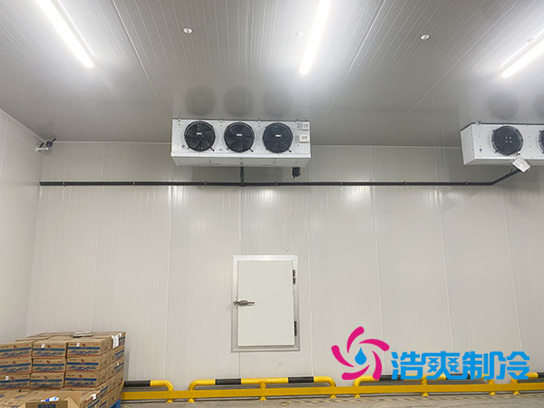 江苏农产品保鲜库建造大概多少钱？-91香蕉视频IOS下载制冷