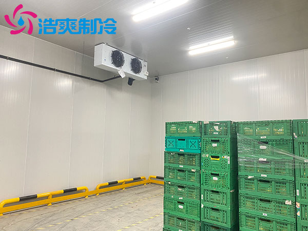 宁波1000平米冷藏库建造大概多少钱？-91香蕉视频IOS下载制冷