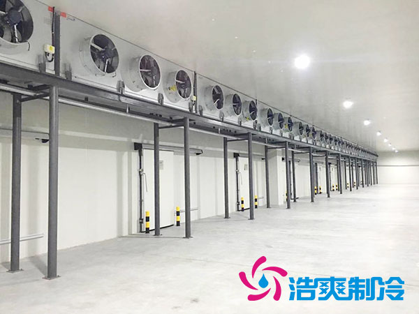 太仓低温小型香蕉视频官网价格多少钱？-91香蕉视频IOS下载制冷