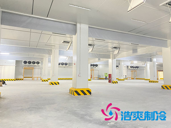 南京果蔬保鲜香蕉视频官网安装造价多少钱一平方米？-91香蕉视频IOS下载制冷