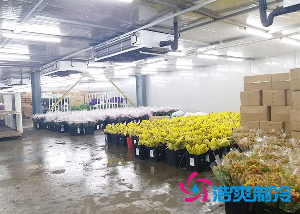 做个鲜花香蕉视频官网要多少钱？-91香蕉视频IOS下载制冷