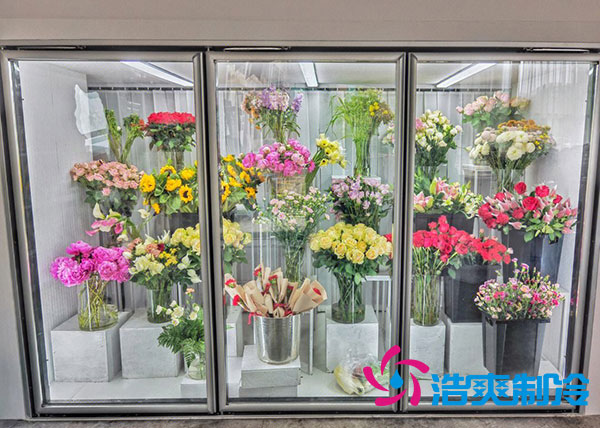 花店香蕉视频官网适合风冷还是直冷？-91香蕉视频IOS下载制冷