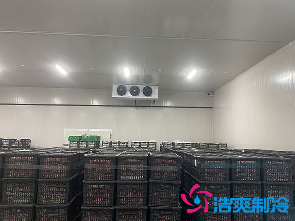水果香蕉视频官网造价多少钱