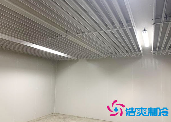肇庆雪糕香蕉视频官网哪家便宜-91香蕉视频IOS下载制冷