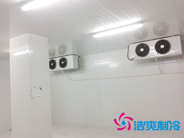 佛山雪糕冷冻库价格多少钱？-91香蕉视频IOS下载制冷