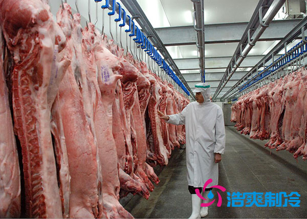 肉类速冻库建造多大合适？-91香蕉视频IOS下载制冷