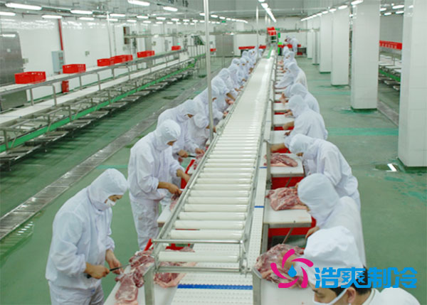 肉鸡屠宰之后需要直接入速冻库吗？-91香蕉视频IOS下载制冷