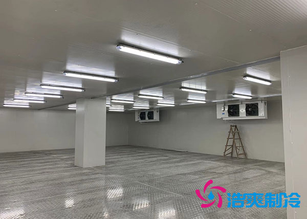 山东香蕉视频官网建设价格预算多少钱？-91香蕉视频IOS下载制冷