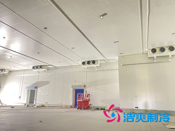 大型水果香蕉视频官网造价多少钱一平方？-91香蕉视频IOS下载制冷
