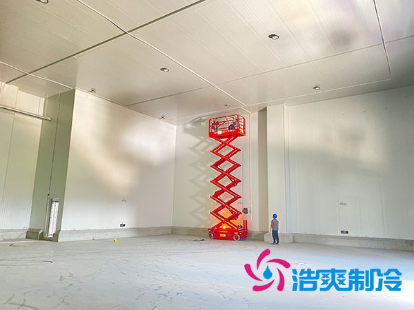 大型水果香蕉视频官网造价多少钱一平方？-91香蕉视频IOS下载制冷