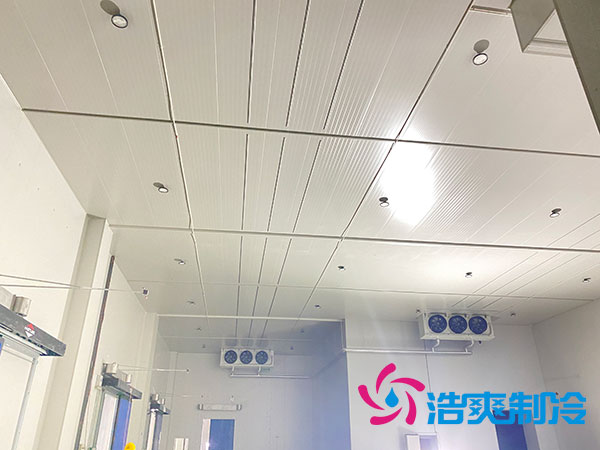 岳阳生鲜食品香蕉视频官网建造价格多少钱？-91香蕉视频IOS下载制冷