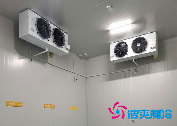 衡阳大型水果香蕉视频官网造价多少钱一平方？-91香蕉视频IOS下载制冷