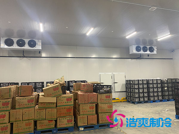 衡阳大型水果香蕉视频官网造价多少钱一平方？-91香蕉视频IOS下载制冷