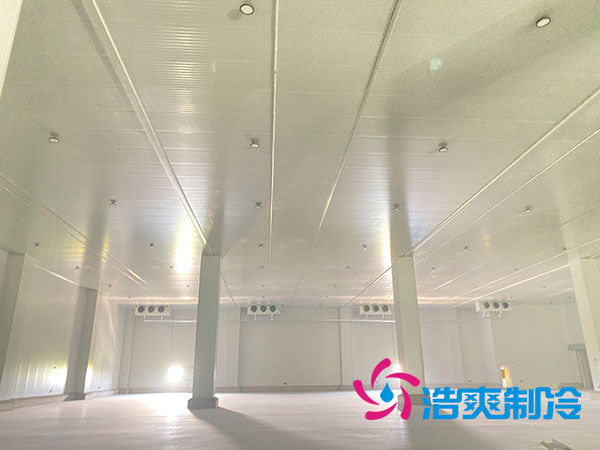 江西低温食品香蕉视频官网建造公司-91香蕉视频IOS下载制冷