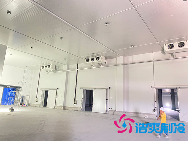 江西速冻食品香蕉视频官网造价多少钱一平方-91香蕉视频IOS下载制冷