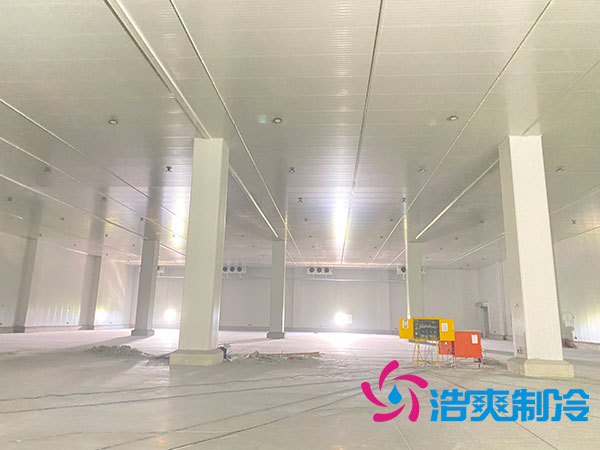 江西速冻食品香蕉视频官网造价多少钱一平方-91香蕉视频IOS下载制冷