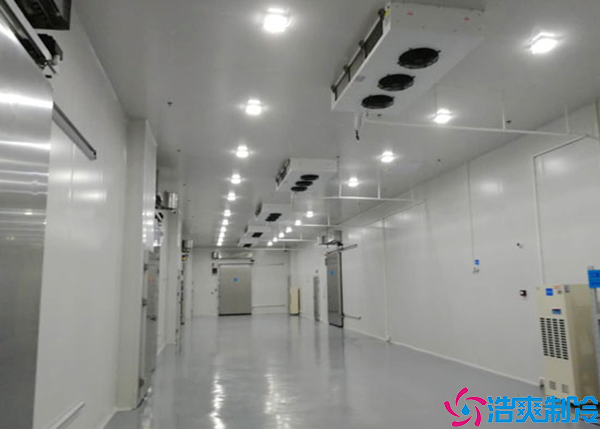 香蕉视频官网建设