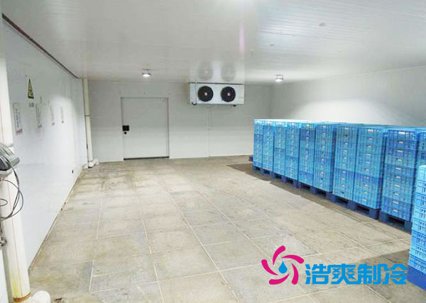 零下50度超低温香蕉视频官网建设方案及措施-91香蕉视频IOS下载制冷