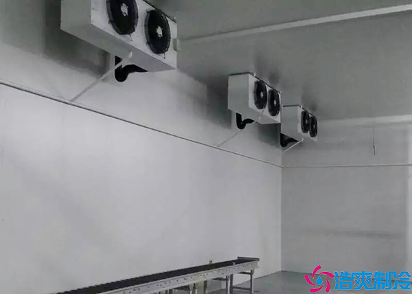 香蕉视频官网