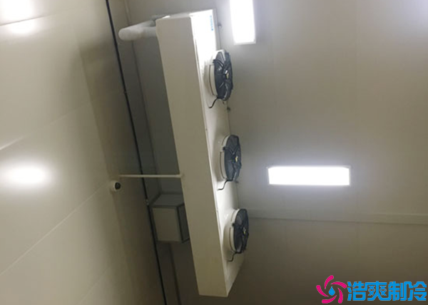 双温香蕉视频官网