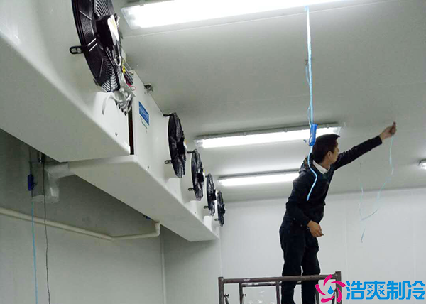 水果保鲜香蕉视频官网