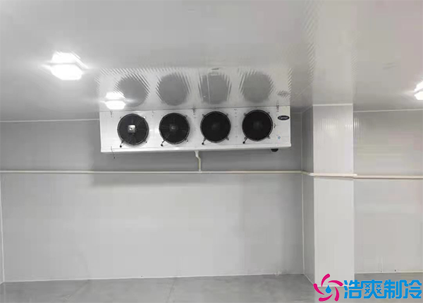 预香蕉视频官网