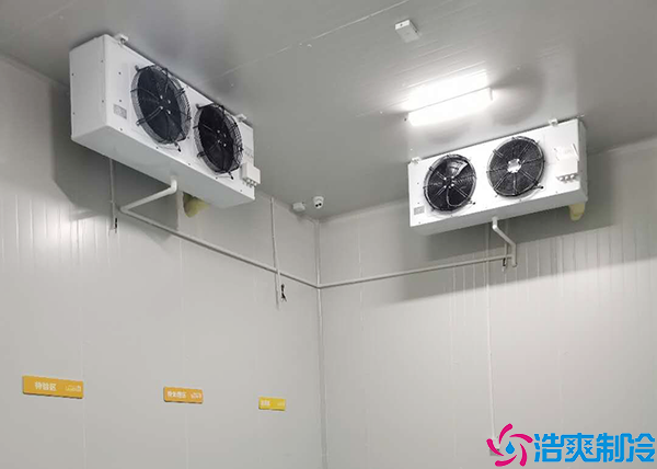 香蕉视频官网建造