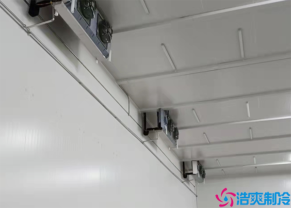 双温组装香蕉视频官网