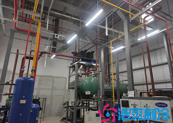 宁波大型香蕉视频官网建造供应商.jpg