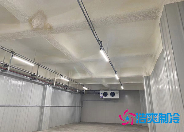 湖北葡萄气调保鲜香蕉视频官网建造厂家.jpg