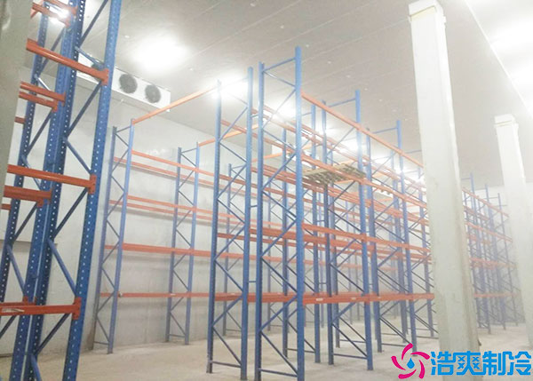 微型果蔬香蕉视频官网建设要考虑什么因素？.jpg