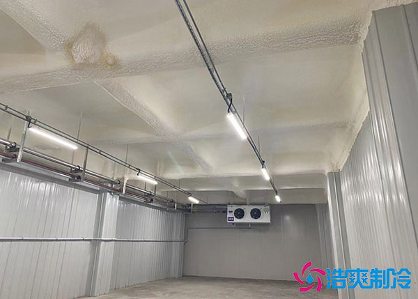 低温香蕉视频官网建造用风冷好还是排管好？.jpg