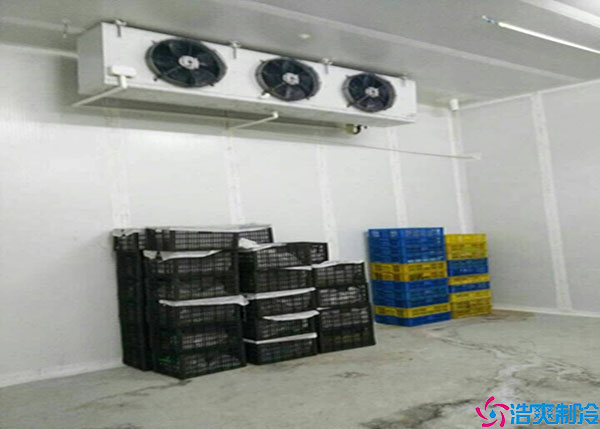 宁夏气调香蕉视频官网如何建造？.jpg