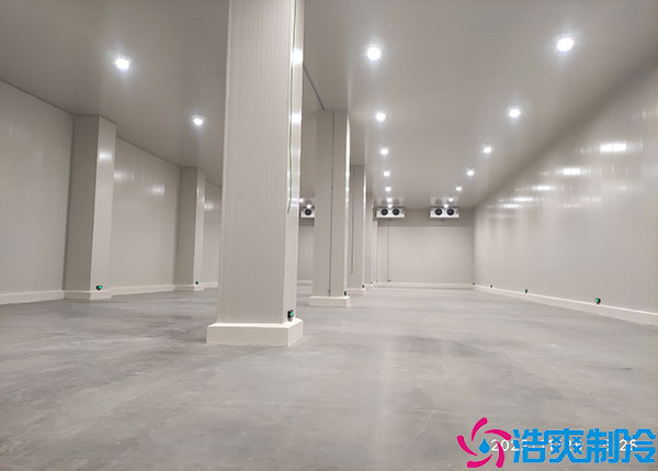 山西食品保鲜香蕉视频官网定制规范.jpg