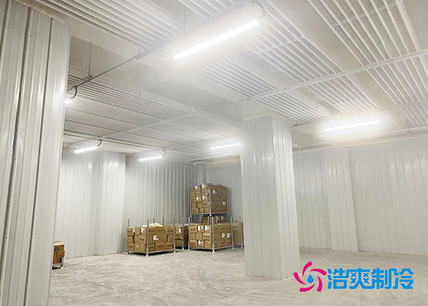 江西小型果蔬香蕉视频官网建设考虑什么因素？.jpg