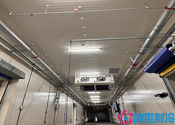 云南低温食品香蕉视频官网建造方案.jpg