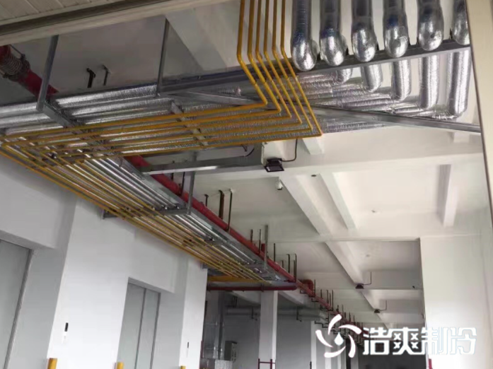 氟利昂系统_91香蕉视频IOS下载制冷