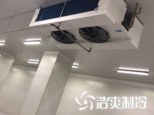 河北周黑鸭新工厂项目1#车间香蕉视频官网建造