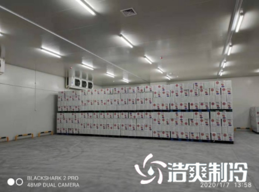 安徽洽洽49500m³食品加工香蕉视频官网建造