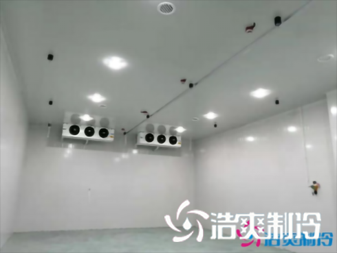 上海巴洛美巧克力食品香蕉视频官网建造设计