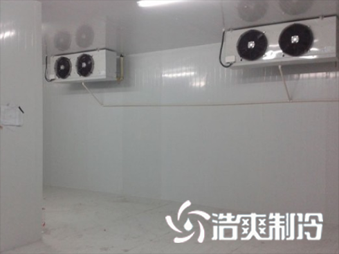 浙江绍兴养乐多乳制品香蕉视频官网建造安装