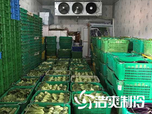 生鲜食品物流香蕉视频官网