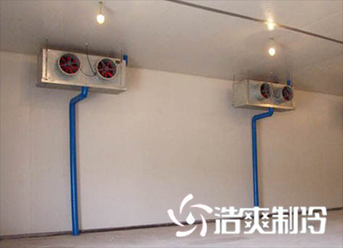 蛋品低温香蕉视频官网建造