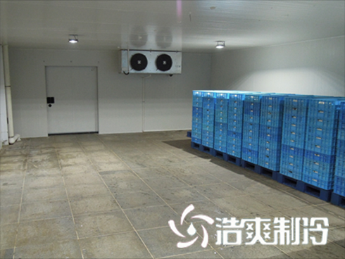 食品香蕉视频官网建造价格