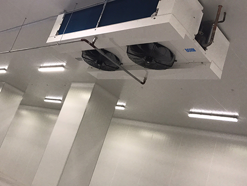 河北周黑鸭新工厂项目1#车间香蕉视频官网建造工程案例